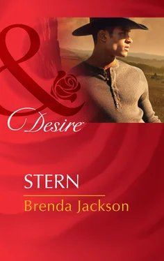 Brenda Jackson Stern обложка книги