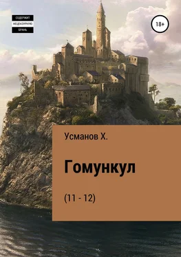 Хайдарали Усманов Гомункул (11 – 12) обложка книги