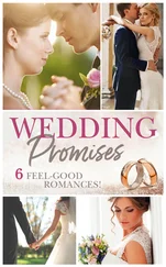 Jennifer Faye - Wedding Promises