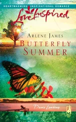 Arlene James - Butterfly Summer