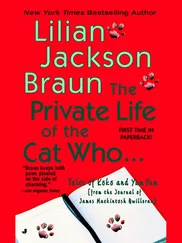 Lilian Braun - The private life of the cat who... - tales of Koko and Yum Yum from the journal of James Mackintosh Qwilleran