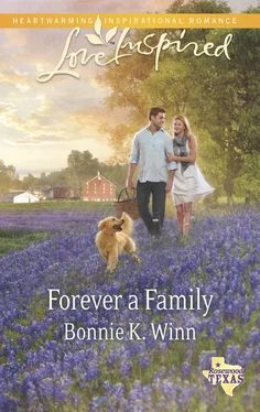 Bonnie Winn Forever a Family обложка книги