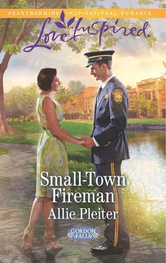 Allie Pleiter Small-Town Fireman обложка книги