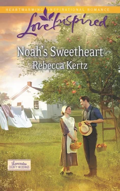 Rebecca Kertz Noah's Sweetheart обложка книги