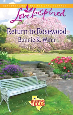 Bonnie Winn Return to Rosewood обложка книги