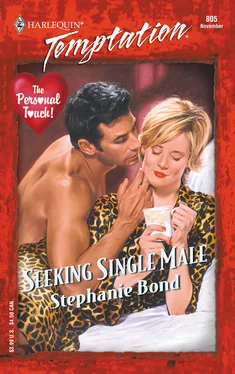Stephanie Bond Seeking Single Male обложка книги