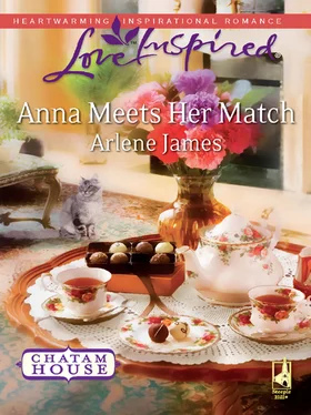 Arlene James Anna Meets Her Match обложка книги