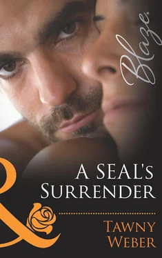 Tawny Weber A SEAL's Surrender обложка книги