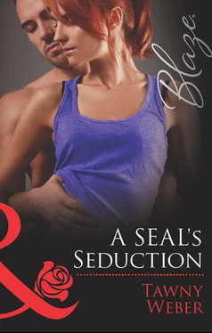 Tawny Weber A SEAL's Seduction обложка книги