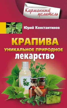 Юрий Константинов Крапива. Уникальное природное лекарство обложка книги