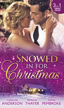 Caroline Anderson Snowed In For Christmas: Snowed in with the Billionaire / Stranded with the Tycoon / Proposal at the Lazy S Ranch обложка книги