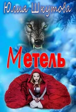 Шкутова Юлия Метель обложка книги