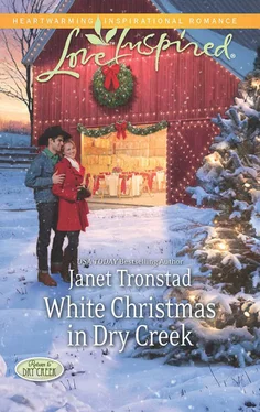Janet Tronstad White Christmas in Dry Creek обложка книги