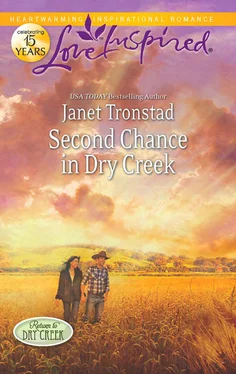 Janet Tronstad Second Chance in Dry Creek обложка книги