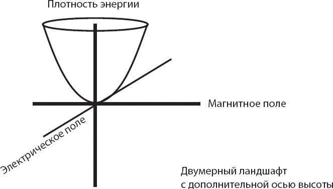 Поскольку электрическое и магнитное поля поразному влияют на поведение - фото 26