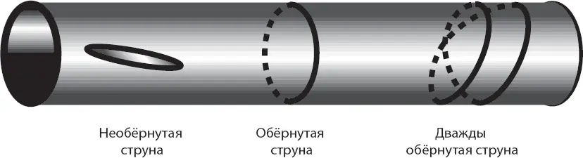 Число кручения является тем свойством частицы которое невозможно понять если - фото 63