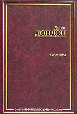 Джек Лондон Сборник рассказов и повестей обложка книги