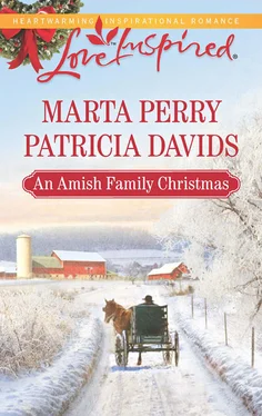 Patricia Davids An Amish Family Christmas: Heart of Christmas / A Plain Holiday обложка книги