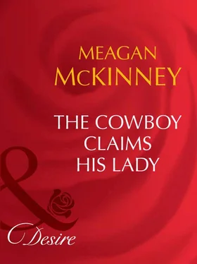 Meagan McKinney The Cowboy Claims His Lady обложка книги
