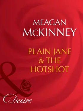 Meagan McKinney Plain Jane and The Hotshot обложка книги