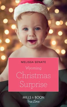 Melissa Senate Wyoming Christmas Surprise обложка книги