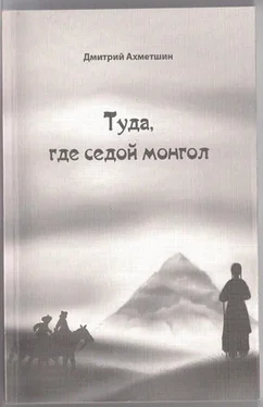 Дмитрий Ахметшин Туда, где седой монгол обложка книги