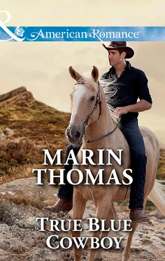 Marin Thomas True Blue Cowboy обложка книги