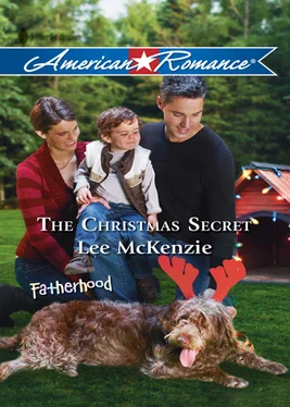 Lee McKenzie The Christmas Secret обложка книги