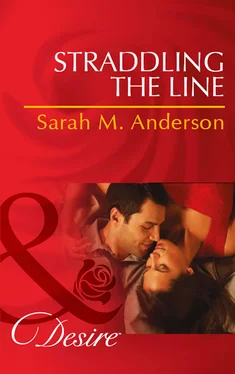 Sarah Anderson Straddling the Line обложка книги