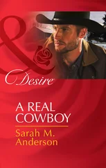 Sarah Anderson - A Real Cowboy