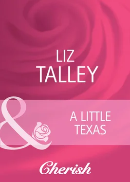 Liz Talley A Little Texas обложка книги