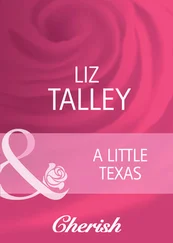 Liz Talley - A Little Texas