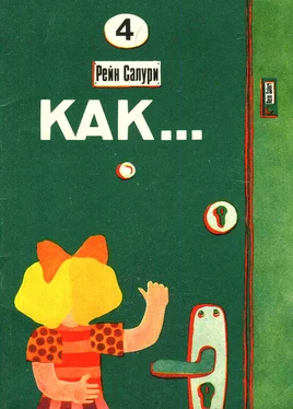 Рейн Салури Как обложка книги