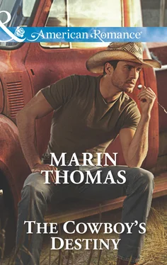 Marin Thomas The Cowboy's Destiny обложка книги