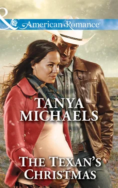 Tanya Michaels The Texan's Christmas обложка книги