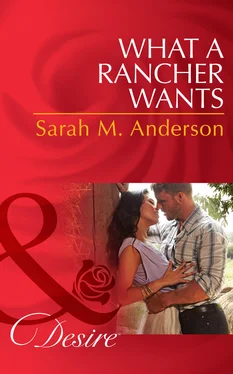 Sarah Anderson What a Rancher Wants обложка книги