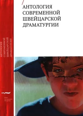 Андри Байелер Антология современной швейцарской драматургии обложка книги