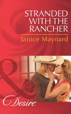 Janice Maynard Stranded with the Rancher обложка книги