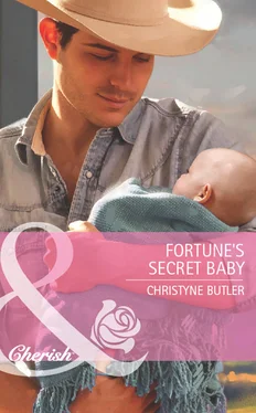 Christyne Butler Fortune's Secret Baby обложка книги