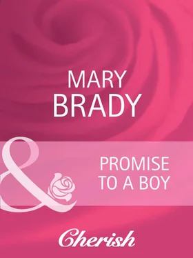 Mary Brady Promise to a Boy обложка книги