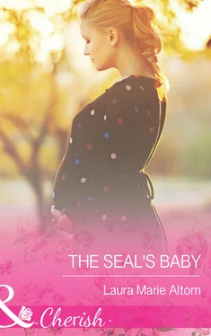 Laura Altom The SEAL's Baby обложка книги