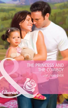 Lois Dyer The Princess and the Cowboy обложка книги