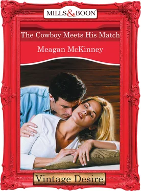 Meagan McKinney The Cowboy Meets His Match обложка книги