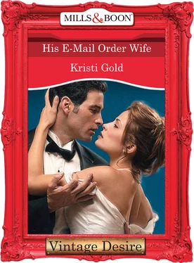 KRISTI GOLD His E-Mail Order Wife обложка книги