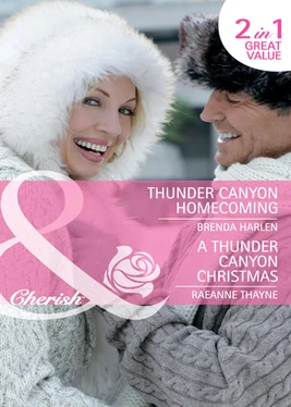 RaeAnne Thayne Thunder Canyon Homecoming / A Thunder Canyon Christmas: Thunder Canyon Homecoming обложка книги