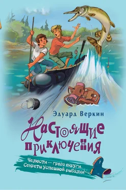 Эдуард Веркин Челюсти – гроза округи. Секреты успешной рыбалки обложка книги