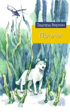 Эдуард Веркин Пролог (сборник) обложка книги