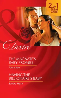 Sandra Hyatt The Magnate’s Baby Promise / Having the Billionaire's Baby: The Magnate’s Baby Promise / Having the Billionaire's Baby