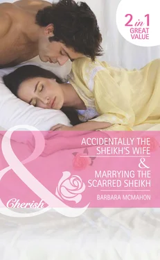 Barbara McMahon Accidentally the Sheikh's Wife / Marrying the Scarred Sheikh: Accidentally the Sheikh's Wife обложка книги