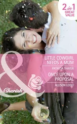 Allison Leigh - Little Cowgirl Needs a Mum / Once Upon a Proposal - Little Cowgirl Needs a Mum
